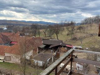 immobilienmakler rumaenien bauernhof grundstueck westkarpaten siebenbuergen apuseni gebirge 650