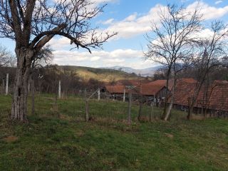 immobilienmakler rumaenien bauernhof grundstueck westkarpaten siebenbuergen apuseni gebirge 653