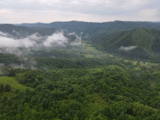 siebenbuergisches erzgebirge muntii metaliferi rumaenien